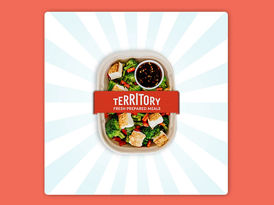 Territory Foods - Freshtival campaign after effects animation design dribbble illustration