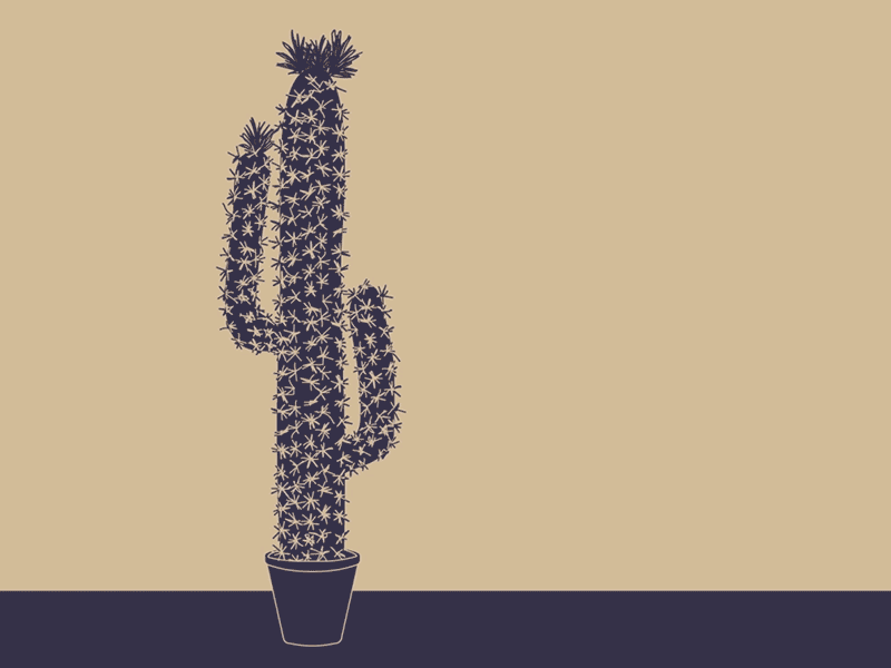 Cactus & Balloon after effects animation art illustration motion graphics