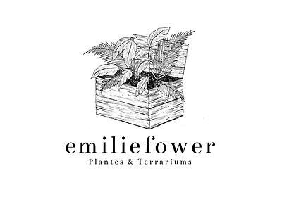Logo - emiliefower bw drawing illustration ink logo plant