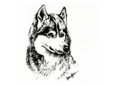 Husky🐶 communication designer cute dog husky illustration inking inktober inktober2019 microns pet quiet sketch