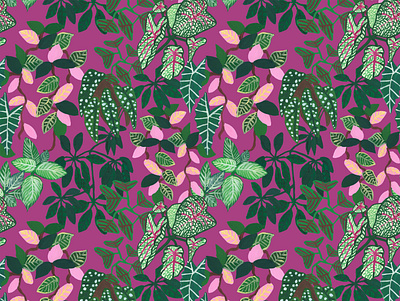 Krimson queen pattern botanical design digital illustration floral pattern illustration jungle nature pattern plant plants rainforest seamless surface