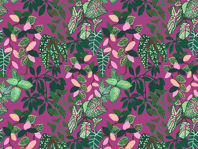 Krimson queen pattern botanical design digital illustration floral illustration jungle leaf leaves nature pattern plant plants rainforest seamless surface