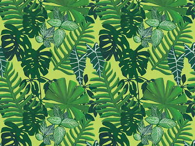 Monstera pattern botanical design digital illustration illustration jungle monstera nature pattern plant rainforest seamless surface