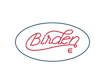 Lettering Birden co. apparel graphics lettering