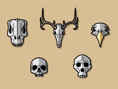 Specimen Wall chris icon illustrator kid skull skulls some somekidchris specimen vector wall