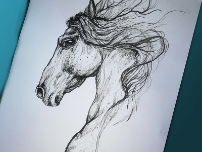 Nobility and pride of the Horse black creative criniere drawing handdrawing horse illsutration ink pride