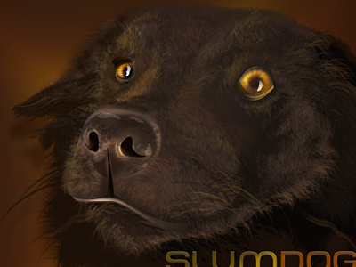 Slumdog brown color dog monochromatic photoshop slumdog