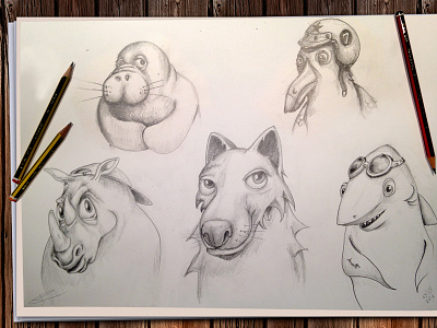 Animals sketches