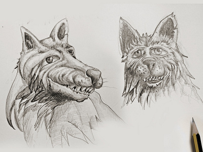 Wolfy drawing friendly funny grenoble gubio loup mes amis les loups san francesco sketch wolf