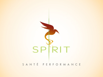 Logo care healing health healthcarebysport logo nolimit performance perseverance spirit