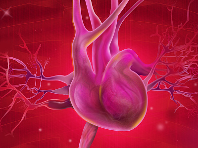 Heart blood heart medical medical illustration red