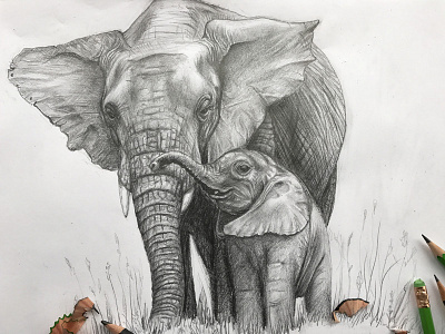 Elephants africa cub drawing elephant grey mother nature paper pencils sketch skin texture