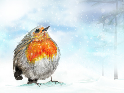 Snow Redbreast attentive available care fragile life precious redbreast snow white winter
