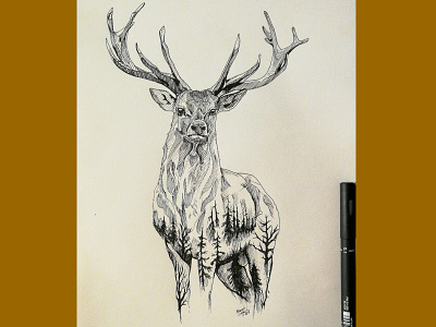 my Deer animal black cerf deer forest illustration ink mandala nature pencil sketch