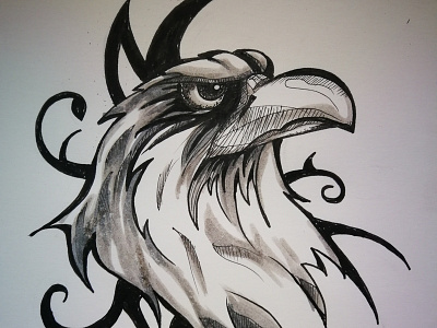 Baldeagle aquila eagle grey illustration pygargue sketch tattoo tribal