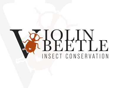 Violin Beetle Branding Concept beetle brand identity branding bug conservation insect logo logotype vector