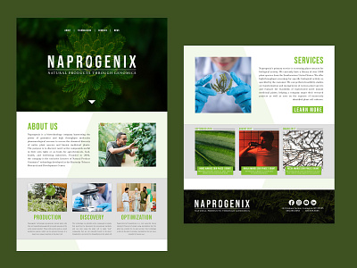 Mock Website Redesign biology biomedical biotech branding design graphic design logo ui ux web web design website website design