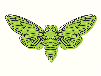 Cicada bug cicada design graphic illustration line line art logo symbol