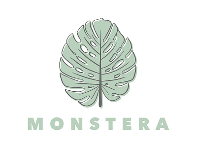 Monstera design graphic graphic design icon illustration leaf leaf logo leaflet design monstera plant plant icon plant illustration plants symbol vector