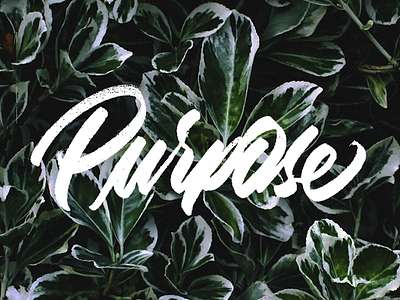 Purpose illustration illustrator lettering logo photoshop