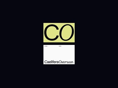 CaeliferaOuterwear—2 art direction branding layout typography