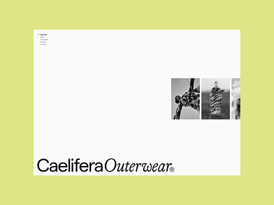 CaeliferaOuterwear—4 art direction branding layout typography ui web