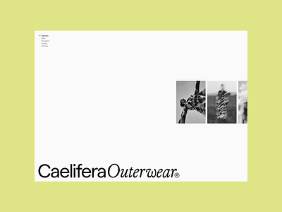 CaeliferaOuterwear—4