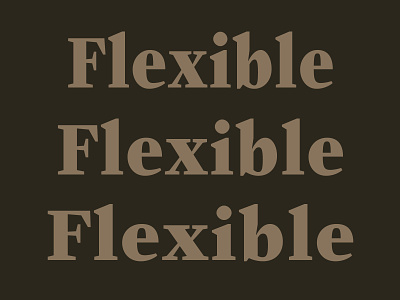 Progress font serif type design typeface