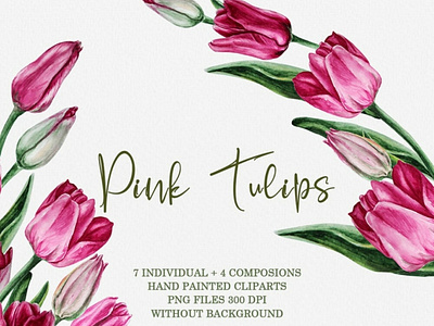 Pink Tulips Illustration art clip art composition design floral flower hand paintrd handmade illustration march nature pink plant poster sketch spring tulips watercolor