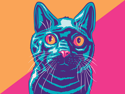 cat In colors cats color scheme illustration illustrator