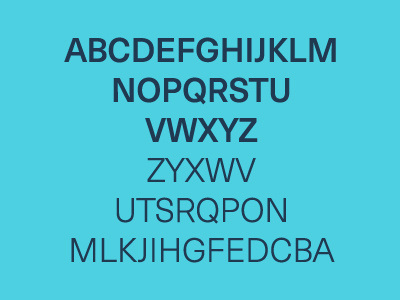 Teleprint clean custom font modern sans serif type typeface typography