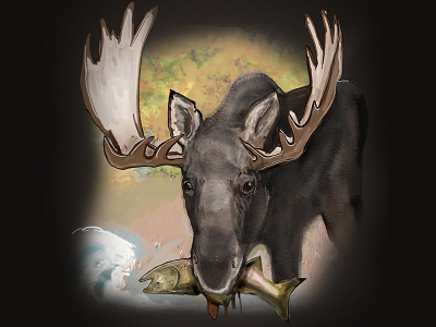 Moose canadian fish moose nature trout