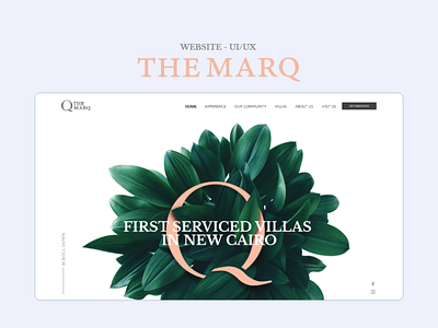 The Marq - Website design prototype typography ui ui design ui8 uiux web webdesign website