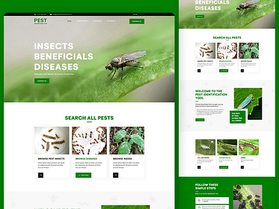 Pest Control Website