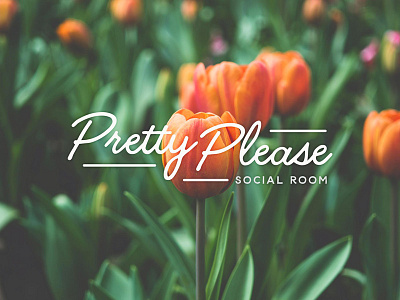 Pretty Please Brand brand flowers identity logo lounge nature please pretty room social