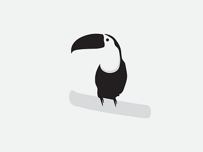 Toucan art bird bird icon black black white black and white illustration minimal toucan vector