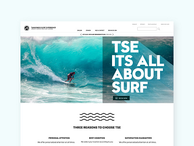 Web design concept for surfing expedition company branding design typography ui ux web website