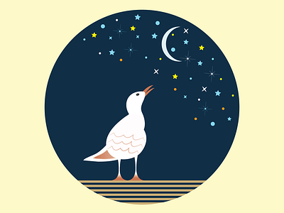 Bird at night