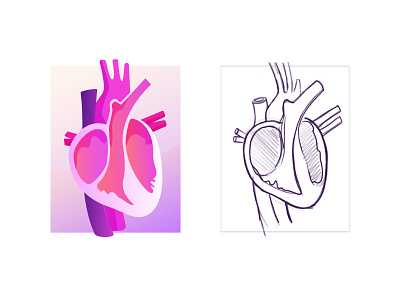Anatomy icon anatomy design icon icons set illustration purple school subject ui vector web