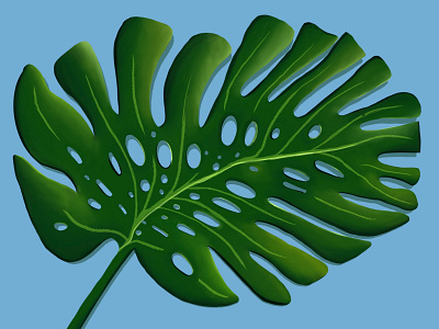 Monstera