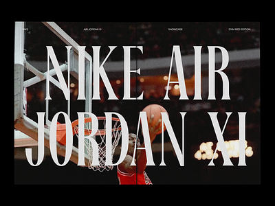 Nike Air Jordan XI - Zine air jordan basketball book concept design editorial layout magazine nike print print design typography zine