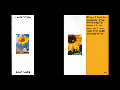 Hanakotoba - The Sunflower 1/2 concept design editorial flowers hanakotoba japanese layout magazine print sunflower type typography white space zine