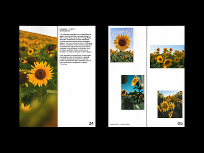 Hanakotoba - The Sunflower 2/2 concept design editorial editorial design japanese art layout layoutdesign magazine print sunflower sunflowers typography white space zine