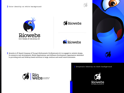 Logo Design for Rioweb awesome bird bird logo brand brand identity branding designer icon vectors