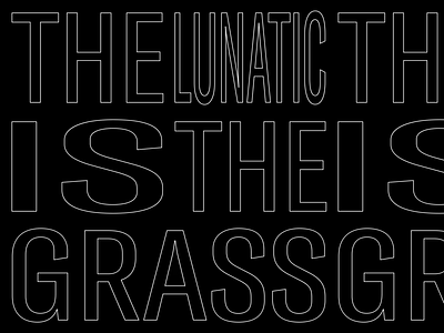 The lunatic is on the grass animation graphicdesign kinetic kinetictypography motion motiongraphics typography