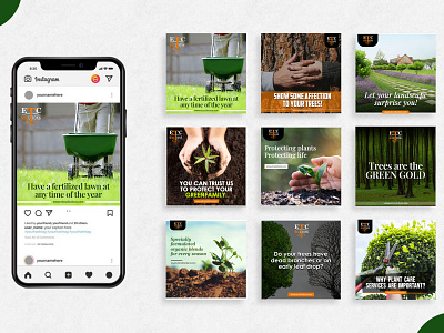 Vegetable Plot designs, themes, templates and downloadable graphic elements  on Dribbble