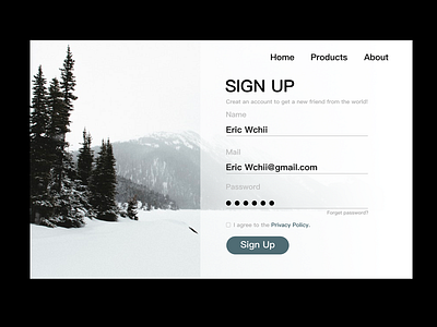 SIGN UP WEB ui website