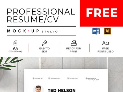 Free Professional Resume/CV ai resume clean cv cv design design free illustrator modern ms word resume professional resume word