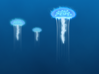 Jellyfish