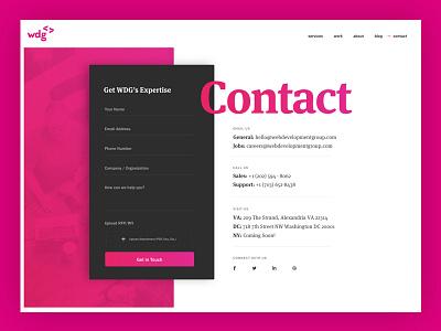 WDG - Contact agency contact contact form interactive lets talk pink web design